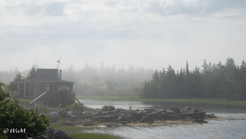 Nebel an der Südküste