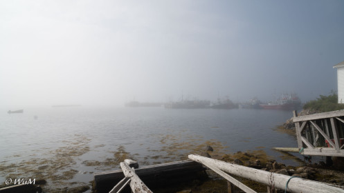 Nebel an der Südküste