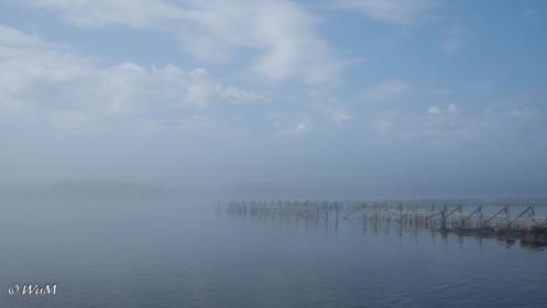 Nebel an der Südküste