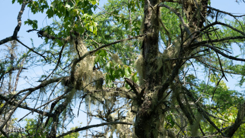 Balancing Rock - Trail