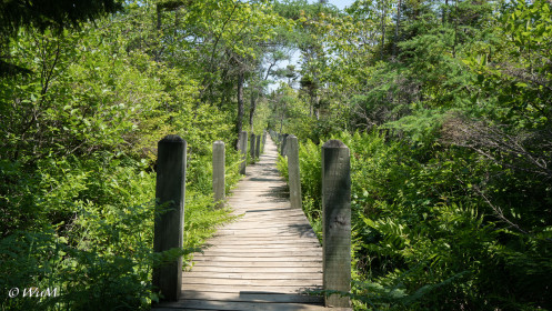 Balancing Rock - Trail