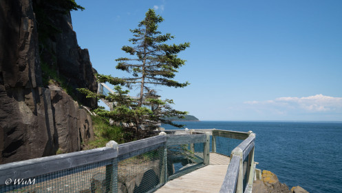 Balancing Rock - Trail