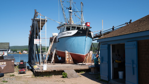 Annapolis Royal - Werft