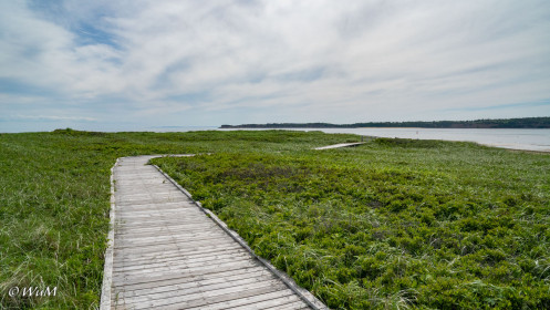 Celtic Coast Trail bei Port Hood