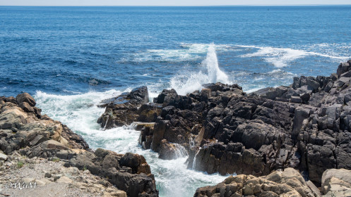 Küste am Lighthouse-Trail Louisbourg
