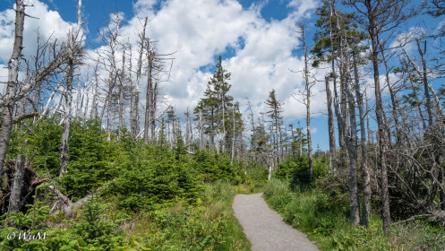 Lighthouse-Trail Louisbourg