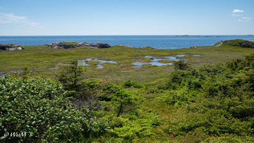 Küste nahe Louisbourg