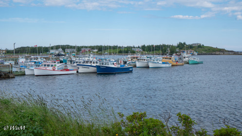 Fischerhafen Main à Dieu