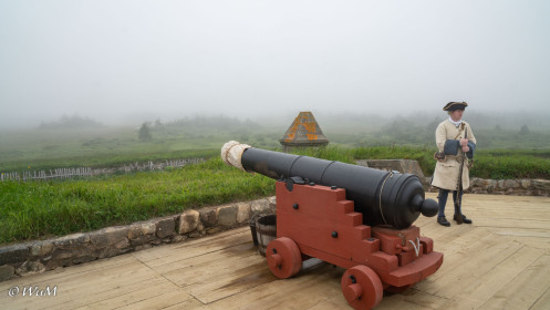 Kanone Fort Louisbourg