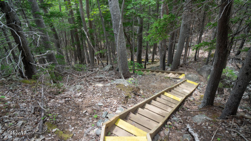 Trail Freshwater Lake Look-off, Cape Breton NP