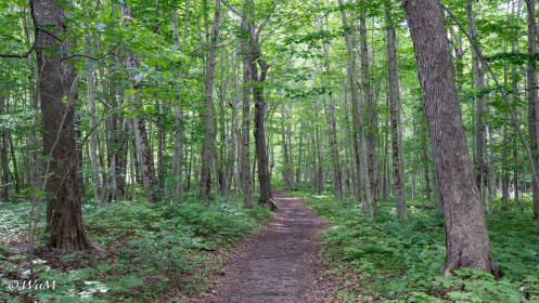 Lone Shieling Trail Cape Breton NP