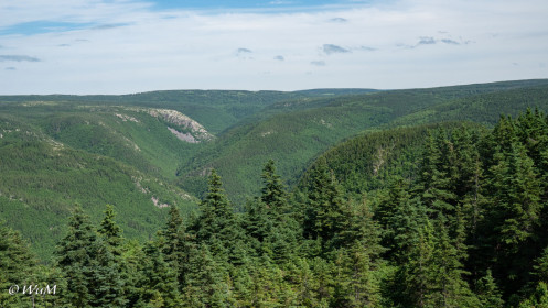 Blick vom MacKenzie Mountain, Cape Breton NP