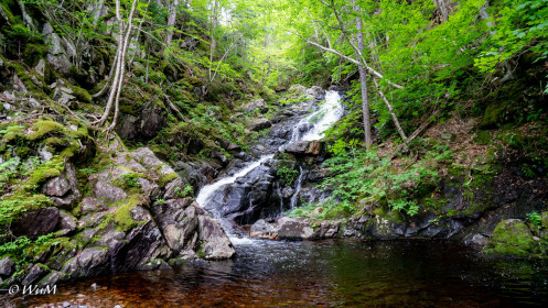 MacIntosh Brook Cape Breton