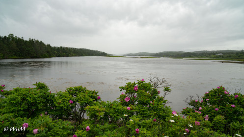 Marine Drive bei Regen