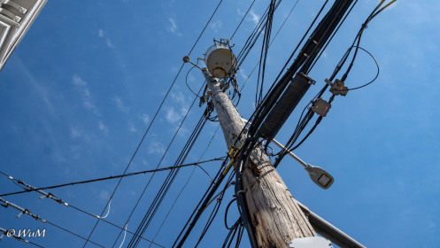 Mitten in Halifax Downtown