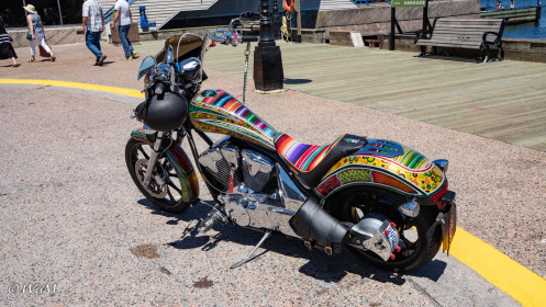 Harley einmal anders