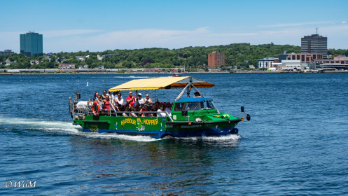 Amphibienfahrzeug für Stadtrundfahrten