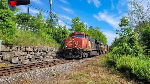 Dieser Zug hatte nur 120 Waggons