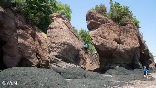 Cape Hopewell bei Ebbe