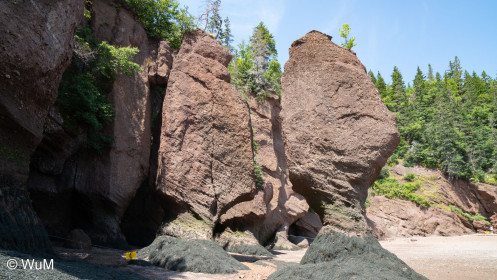 Cape Hopewell bei Ebbe