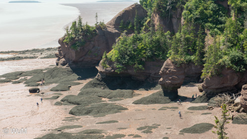 Cape Hopewell bei Ebbe