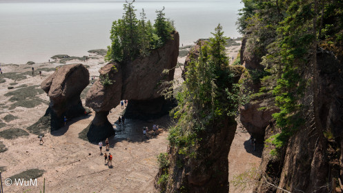 Cape Hopewell bei Ebbe