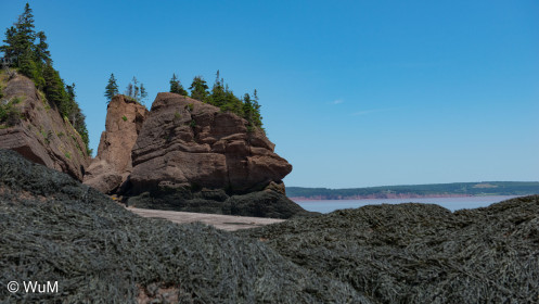 Cape Hopewell bei Ebbe