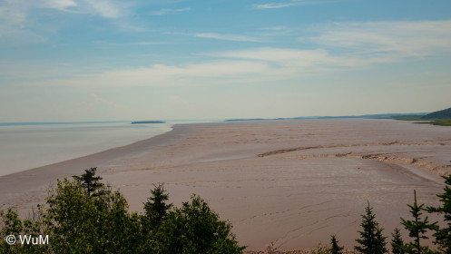 Cape Hopewell bei Ebbe