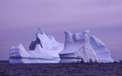 2006-Labrador-Neufundland