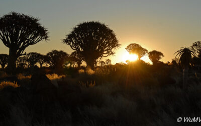 2009-Namibia