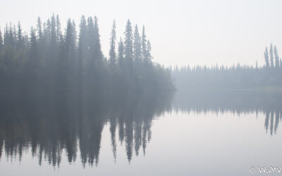 Mündung in den Yukon