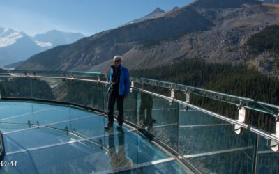 Icefield Parkway