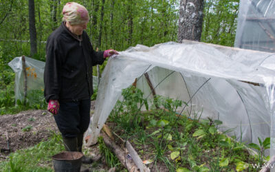 Kalevala NP