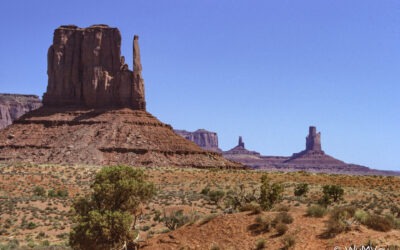 1998-USA