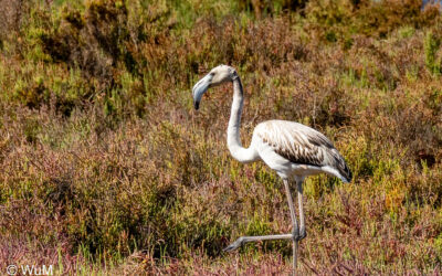 Marokko 31.10.-3.11.2025